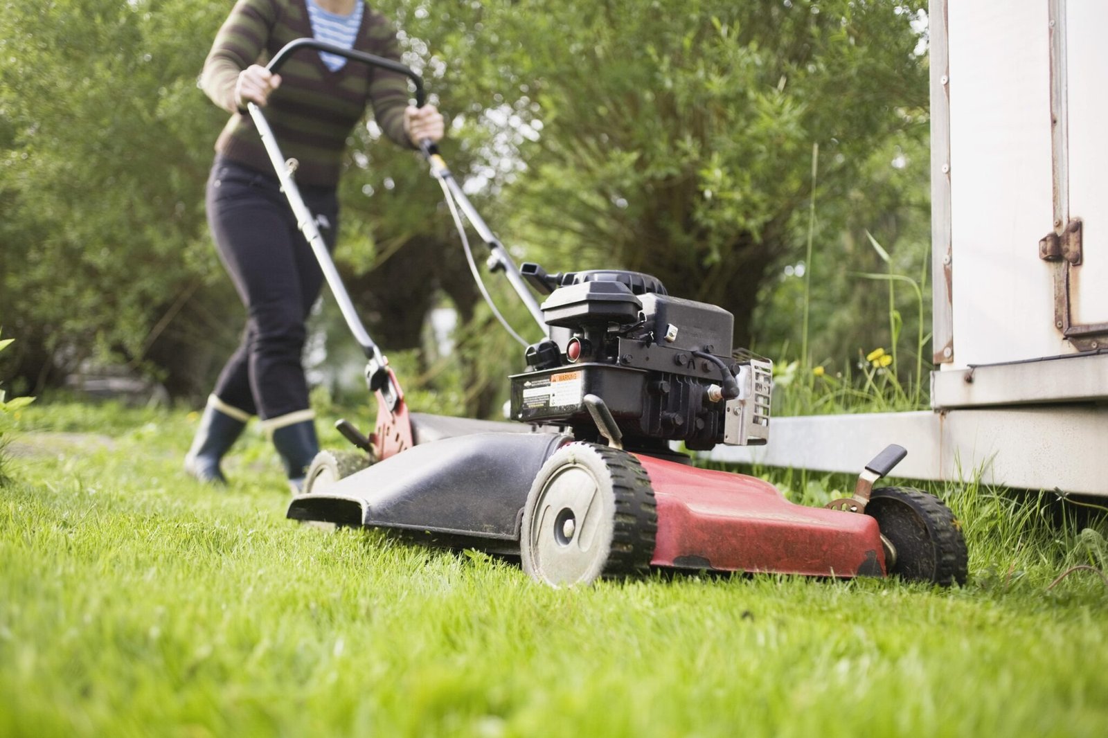 Snow Blower Repair Service Orlando